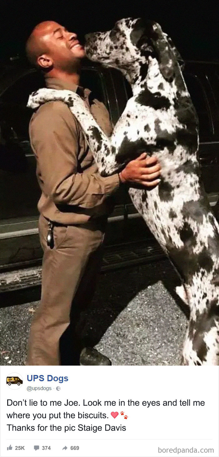 อย่าโกหกฉันเลยโจ มองฉันสายตาคุณบอกว่าคุณมีขนม