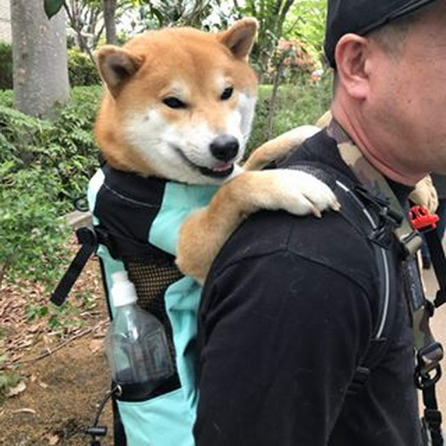 น้องชอบขี่หลังพ่อ