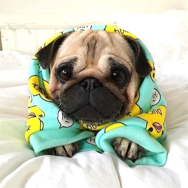 น้องว่าเสื้อมันตัวใหญ่ไปนะแม่
