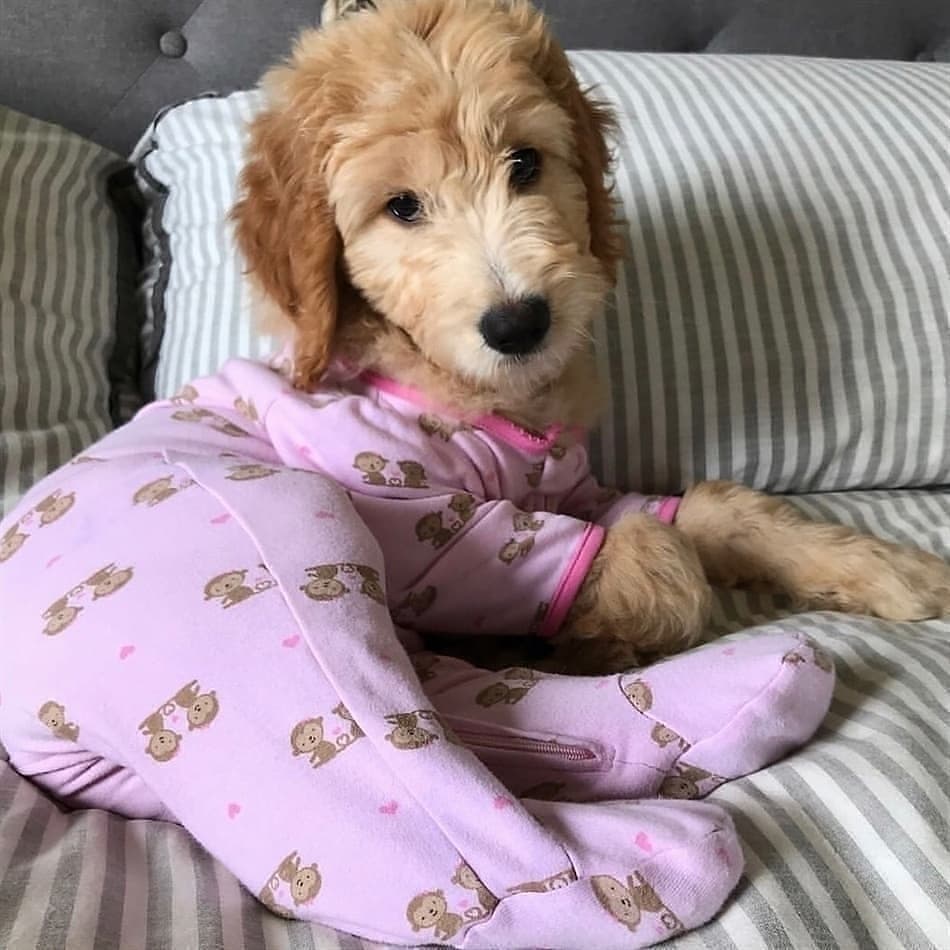 เจ้านายคิดว่าน้องชอบมั๊ย