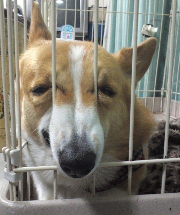 แกล้งปัญญาอ่อนเลยดีกว่า