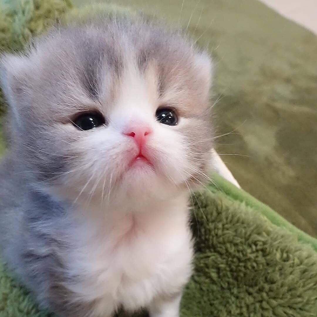 นุ้งหิวนมแล้วนะ