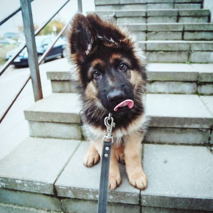 ไปเดินเล่นกันเถอะครับ 