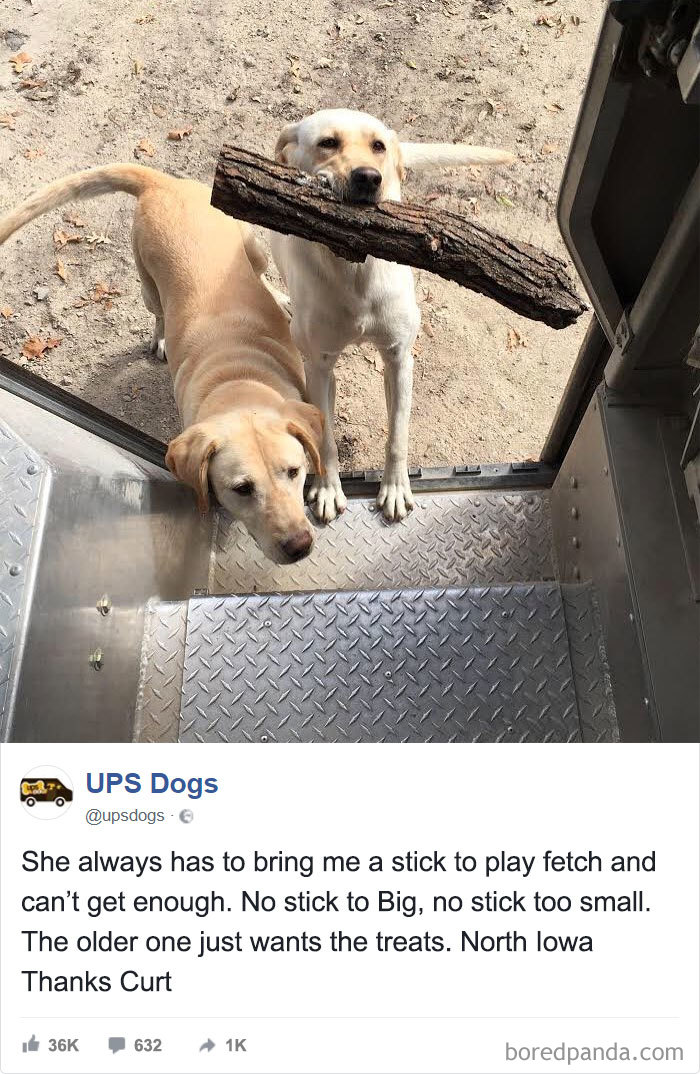 มาเล่นโยนไม้กันเถอะ