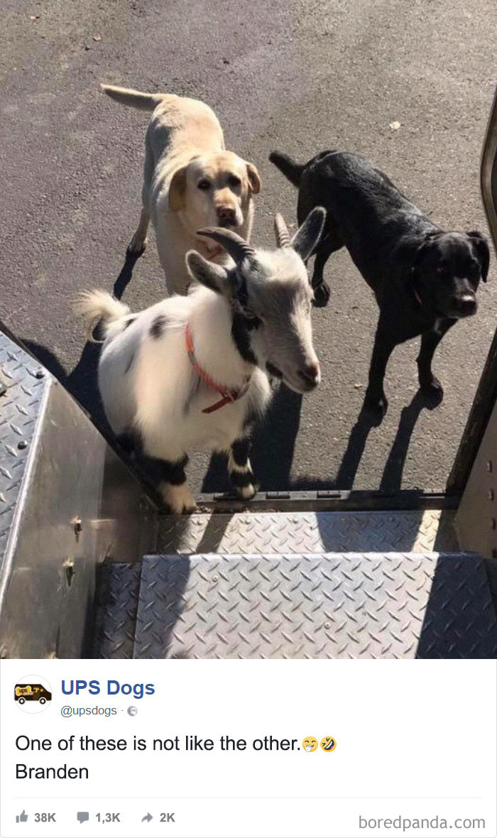 อะไรเอ่ยไม่เข้าพวก