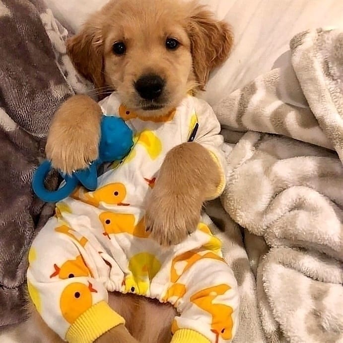 กอดน้องหน่อย