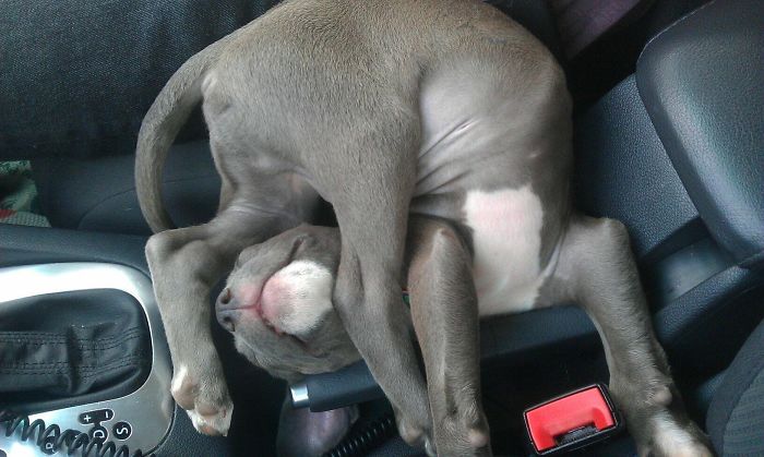 ท่านอนเอ็งชนะเลิศเลย