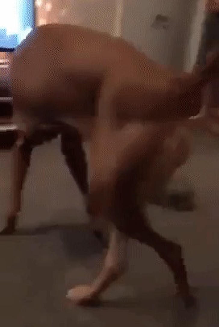 หมุนๆๆ