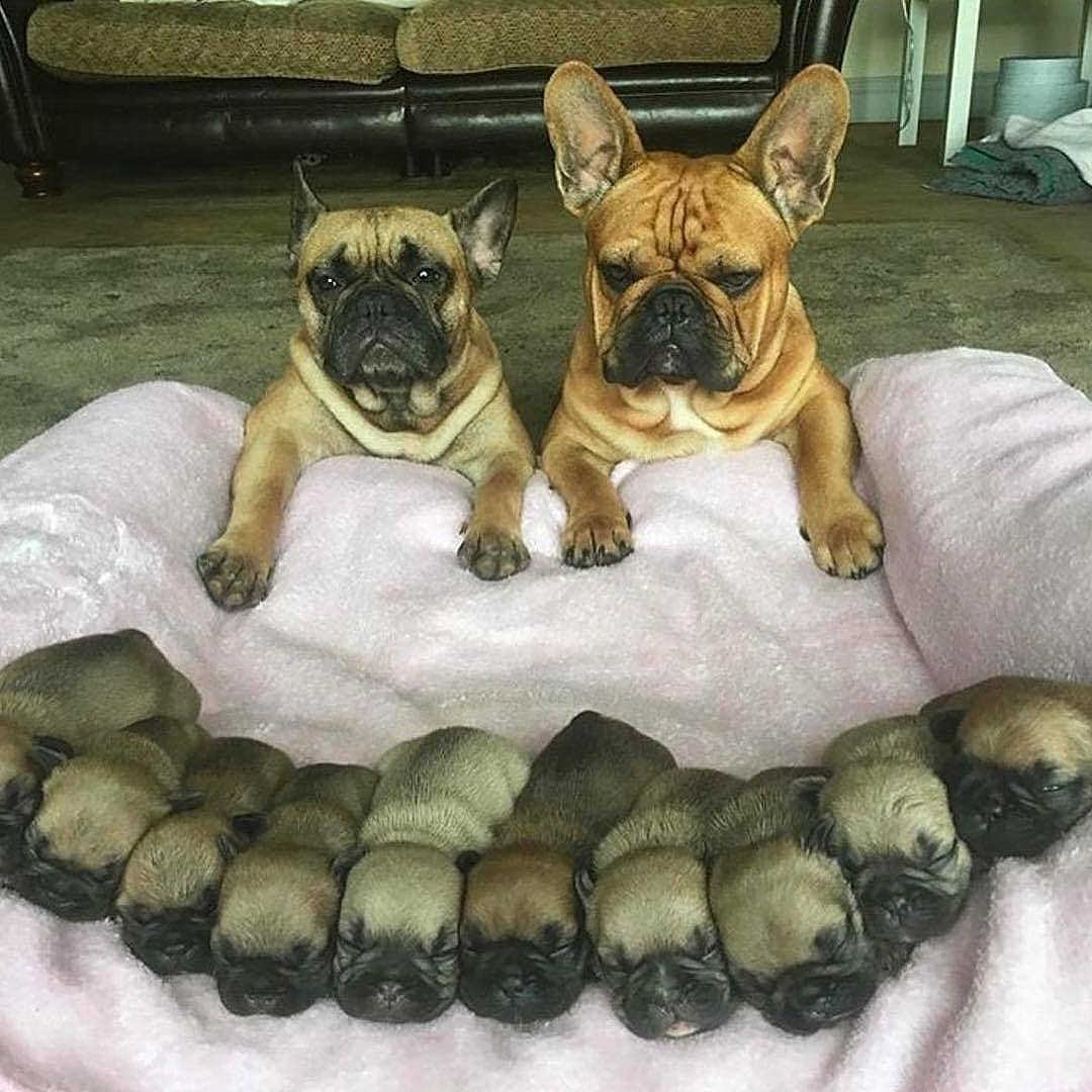 โห นี่ลูกเราทั้งหมดเลยเหรอ