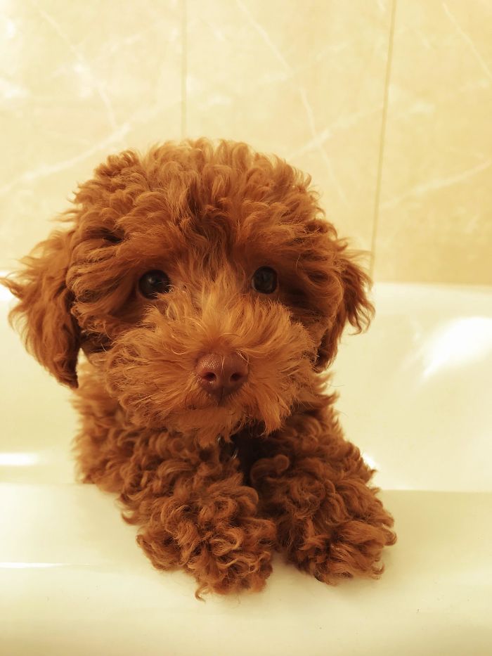 น่ากอดมากเลย