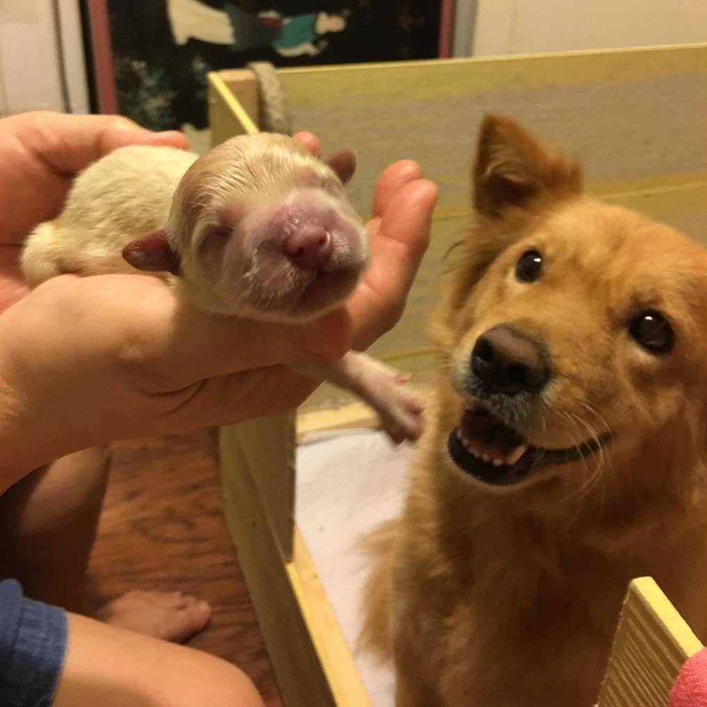 ลูกของน้องจริงๆ เหรอ