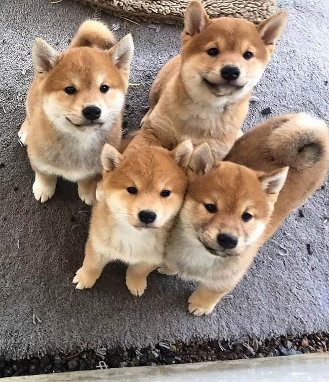 ยังเด็กอยู่แต่ท่าทางซนไม่เบานะเนี่ย